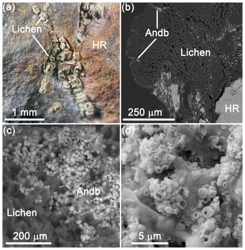 https://ejm.copernicus.org/articles/37/63/2025/ejm-37-63-2025-f01